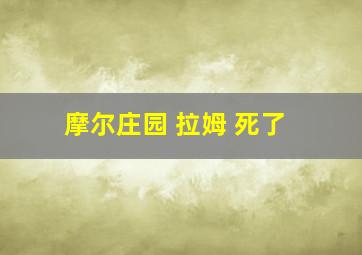 摩尔庄园 拉姆 死了